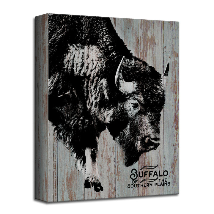 Buffalo' Wall Art