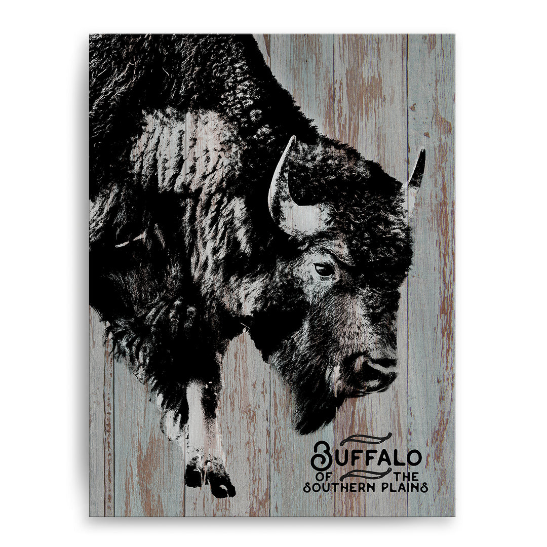 Buffalo' Wall Art