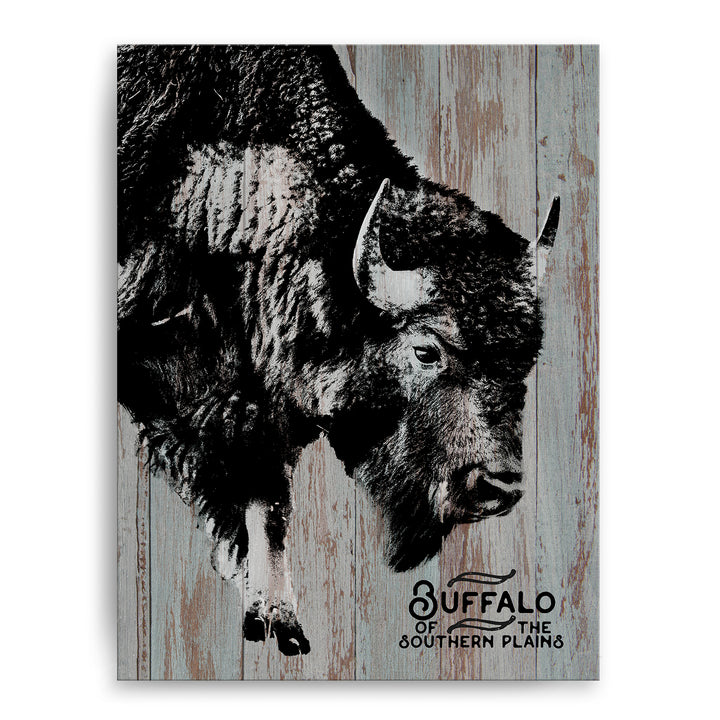 Buffalo' Wall Art